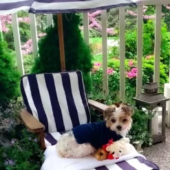Outdoor Chaise With Umbrella - Navy